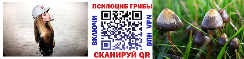 Галлюциногенные грибы мицелий  Купить где  Малмыж 